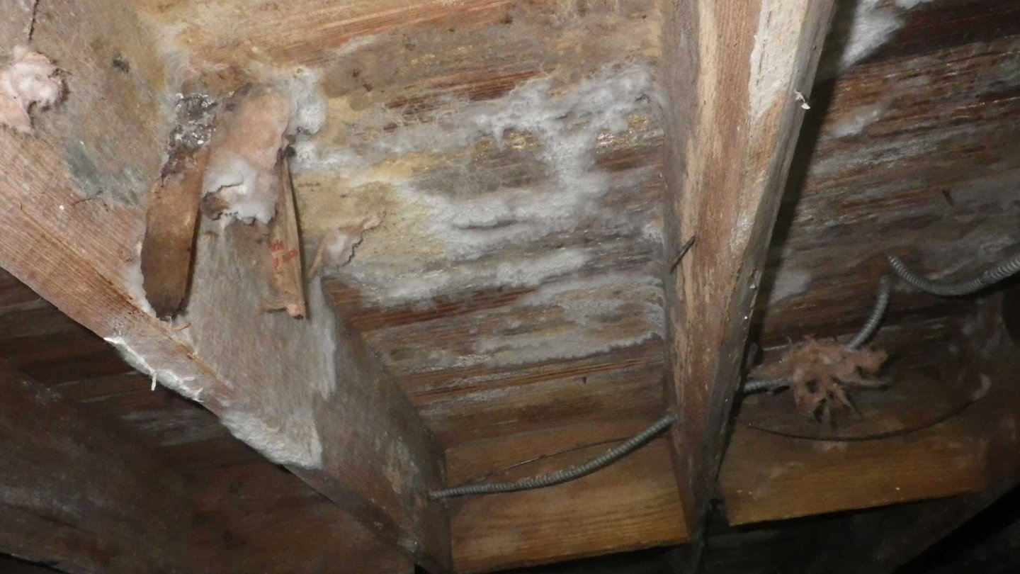 What Is That Funky Smell Coming From My Crawl Space?