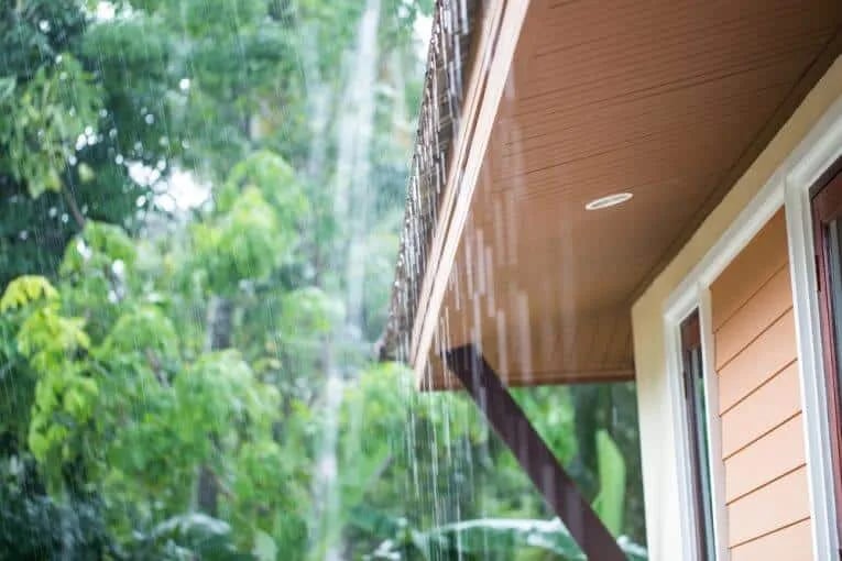 Basement Maintenance Tips For Spring