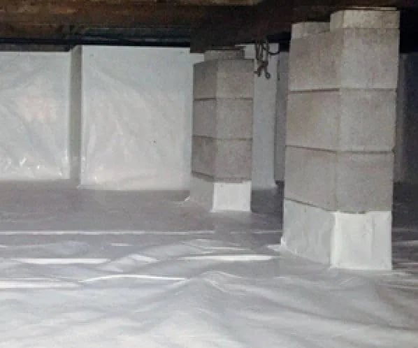 Fall Back in Love with Your Basement