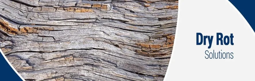 Dry Rot Removal in Kansas City Greater Metro Area