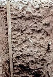 How Missouri Soil Affects Your Kansas City Area Home