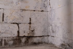 Basement foundation crack