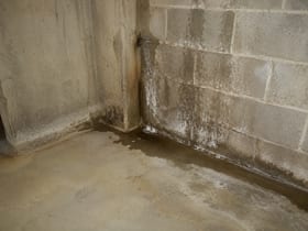 Mold or Damaged Insulation