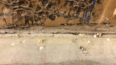 Sticking Windows Mean Foundation Repair in Belton, MO