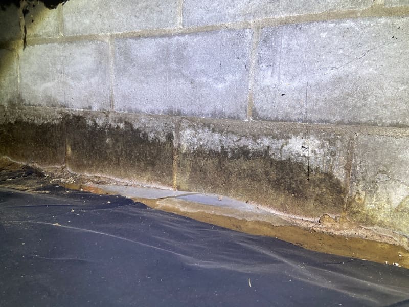 Efflorescence in Basements and Water Stains on Basement Walls and Floors