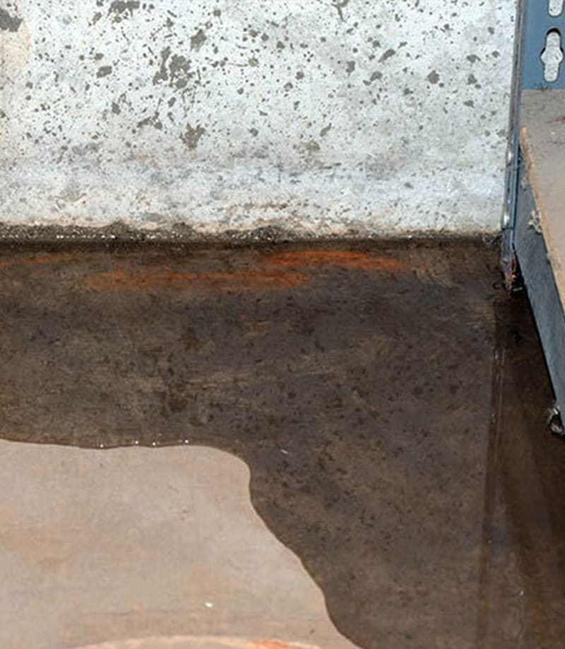 Water collected on a basement floor beside a damp foundation wall