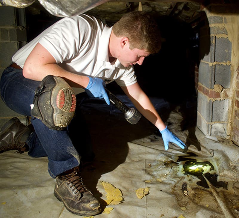 A technician inspecting conditions beside a crawl space foundation wall