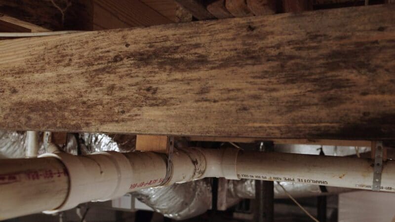 A close view of discolored and deteriorated wood beneath a floor