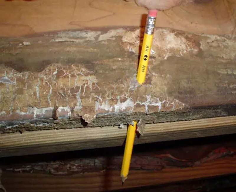Wood Damage