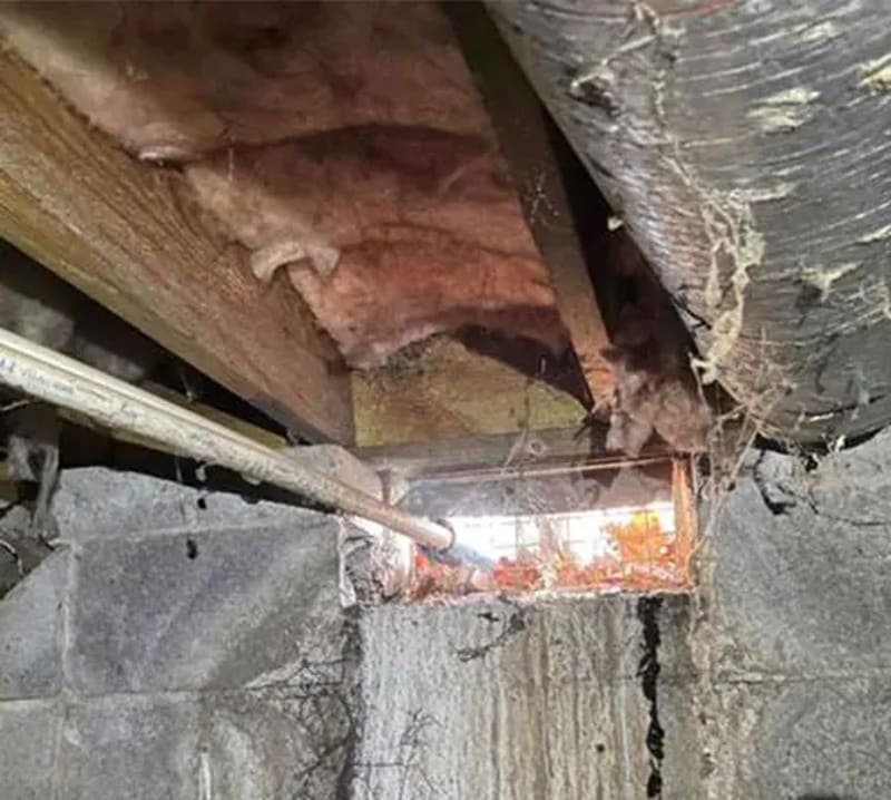 Ventilation Concerns