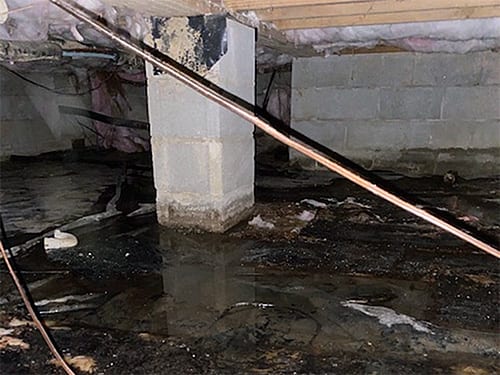 crawl space standing water