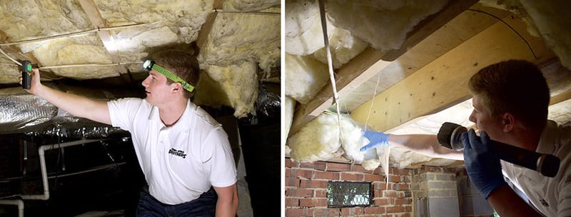 Crawl Space Brothers | Maintaining Your Crawl Space