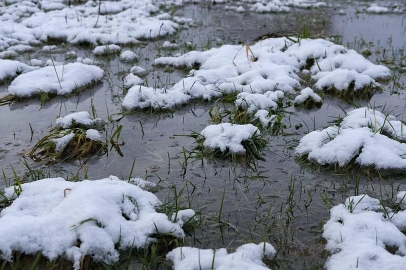 winter