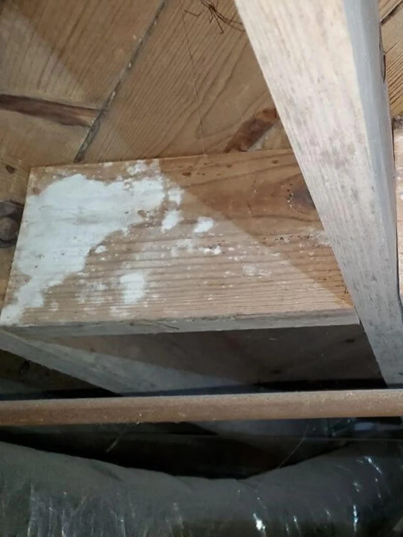 Discoloration on crawl space floor joists