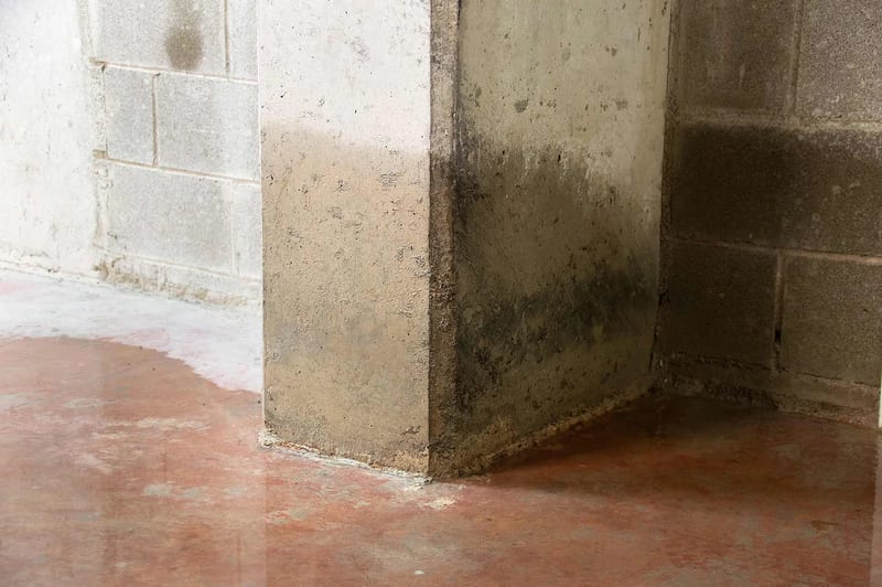 Moisture staining at the base of a below-grade wall
