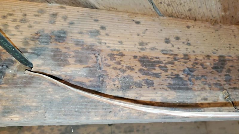 Visible discoloration on wood framing