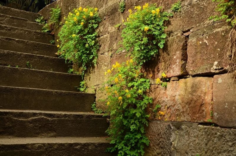 retaining walls with foundation system