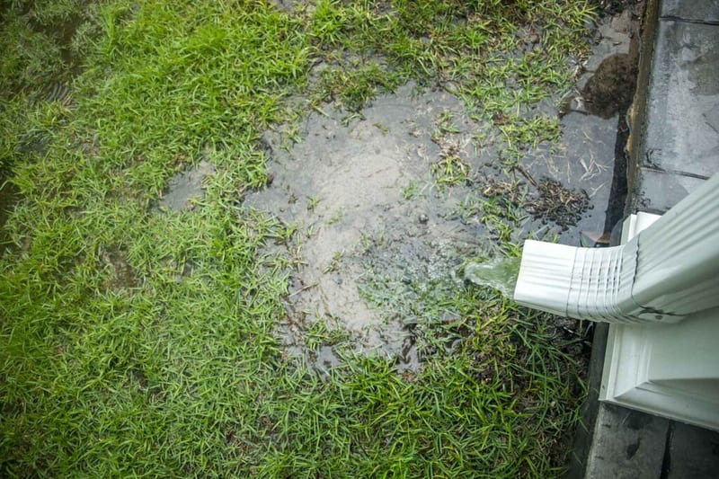 Water Pooling in a yard