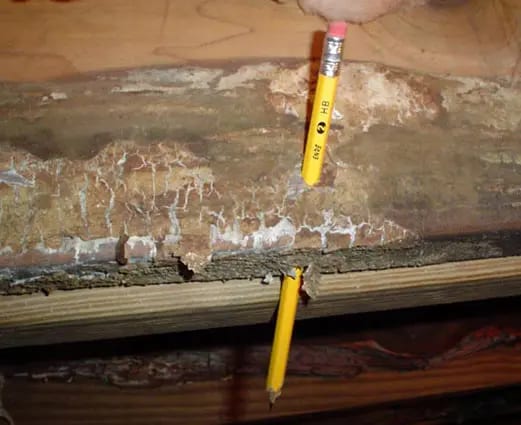 Discolored and deteriorated wood beneath a floor